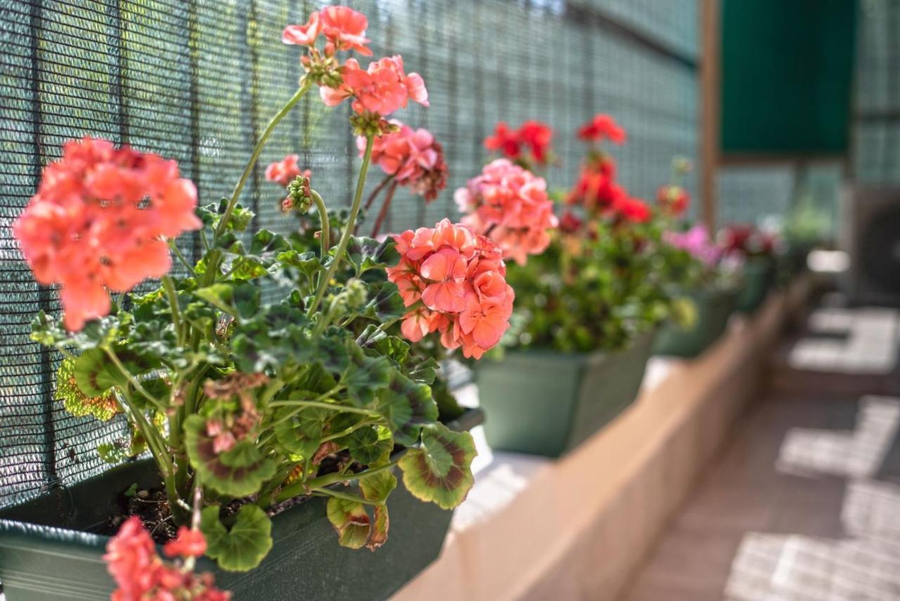 Garden House Vale Apartment Roma Ngoại thất bức ảnh