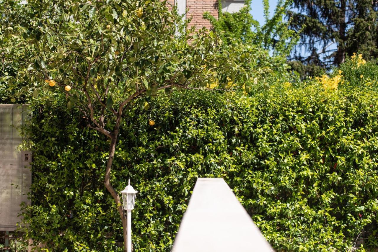 Garden House Vale Apartment Roma Ngoại thất bức ảnh